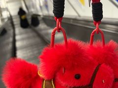 -靓靓蒸虾·头牌蒸虾(南山桂庙店)