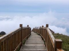 -白草畔自然风景区