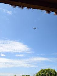 -浣花黉台酒店-宴会厅