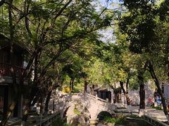 -龙潭水乡