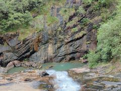 -广州白江湖森林公园