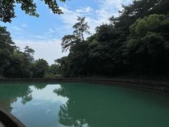 -阿育王寺