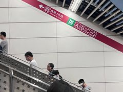 -大望路(地铁站)