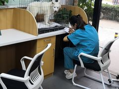 -联合动物医院(光谷诊疗中心)