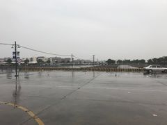 -胜华驾校·小猫学车(银都店)