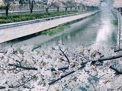 -鸡鸣寺