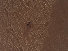 -益阳华天大酒店