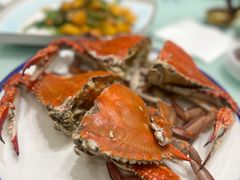 鲜活大螃蟹-北塘海鲜·天津菜(大光明桥旗舰店)