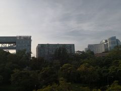 -新加坡柏薇罗切斯特酒店