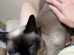 -藏猫猫咖啡主题馆(中央大道店)