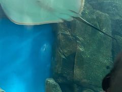 -福州罗源湾海洋世界旅游区