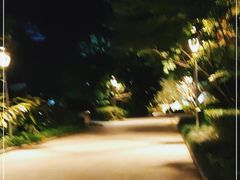 -金鸡山公园