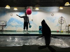 -嘉兴海底世界