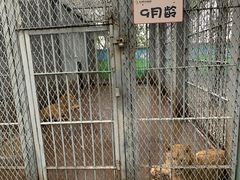 -西安秦岭野生动物园
