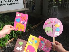 -大象粑粑造纸公园