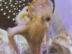 活章鱼-澜悦港海鲜体验主题餐厅
