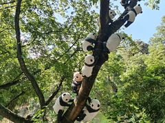 -深圳野生动物园