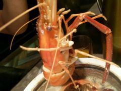 -V-ONE西雅图海鲜自助餐厅(仓山万达广场店)