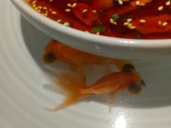 -铜锣湾·有麝自然香(重庆新天地店)
