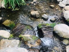 -白水寺森林公园
