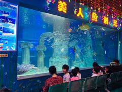 -石家庄市动物园