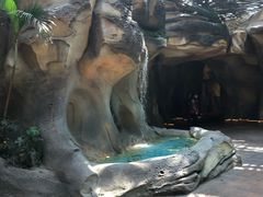 -杭州开元森泊度假乐园