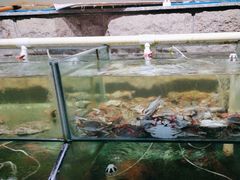 -同道蒸汽海鲜烧烤自助(刘庄夜市店)