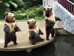 -贵州森林野生动物园