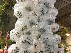 -双季花艺园艺市场(浦东店)
