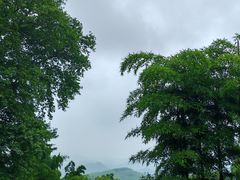 -莫干山风景区