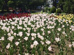 -北海道厅旧本厅舍(旧本庁舎)