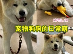 -YCHL Studios健身工作室(市二宫店)