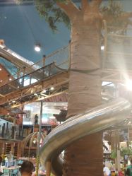 -卡通尼·Safari非洲探索乐园·生日会(金桥国际商业广场店)