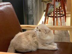 -Double cafe