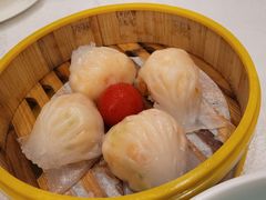 -潮江春(阳光店)