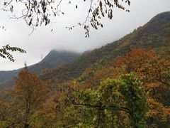 -阳台山自然风景区