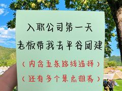 -沉浸北京·团建旅行·密室剧本杀·年会会议轰趴拓展