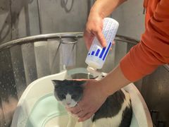 -PETKIT小佩宠物·低压洗护(国顺东路店)