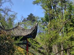 -九华山风景区月身宝殿