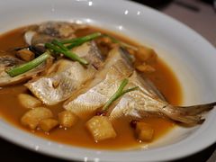 家烧鲳鱼-新荣记(椒江店)
