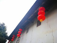 -福建土楼（华安）旅游区•大地土楼群