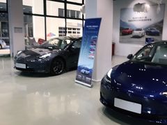 -TESLA 特斯拉(深圳观澜特斯拉直营钣喷中心)