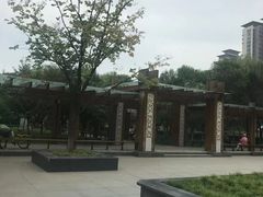 -木塔寺遗址生态公园