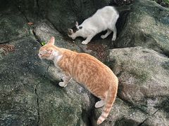 -晓港公园