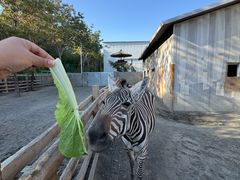 -水上乐园·欢乐世界