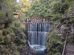 -大奇山国家森林公园