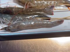 -辣伍鲜毛肚老火锅(元一店)