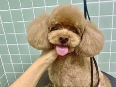 -哈尼爱宠·宠物生活会馆
