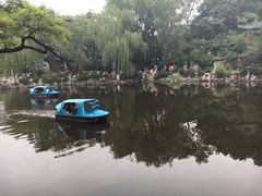 -文瀛公园