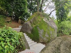 -天鹿湖森林公园